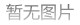 南宁市民购买德文卷毛猫，初步体检发现猫咪有炎症……